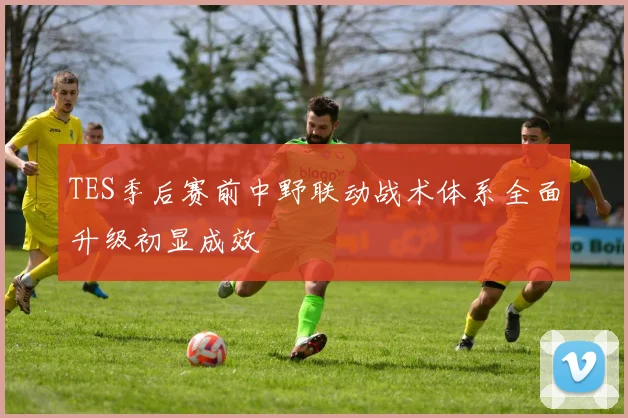 TES季后赛前中野联动战术体系全面升级初显成效